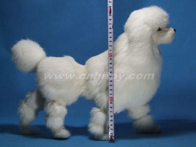 Ƥë��߹���G164����㷽Ƥë����Ʒ���޹�˾