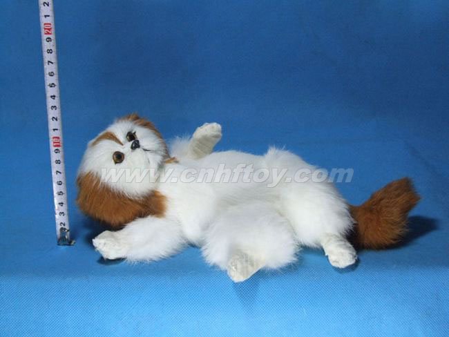 Ƥë��߹���G167����㷽Ƥë����Ʒ���޹�˾