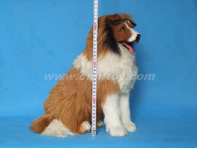 Ƥë��߹���G316����㷽Ƥë����Ʒ���޹�˾