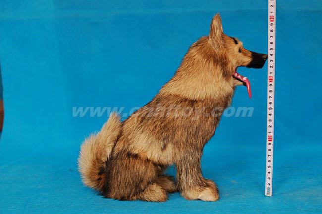 Ƥë��߹���G248����㷽Ƥë����Ʒ���޹�˾