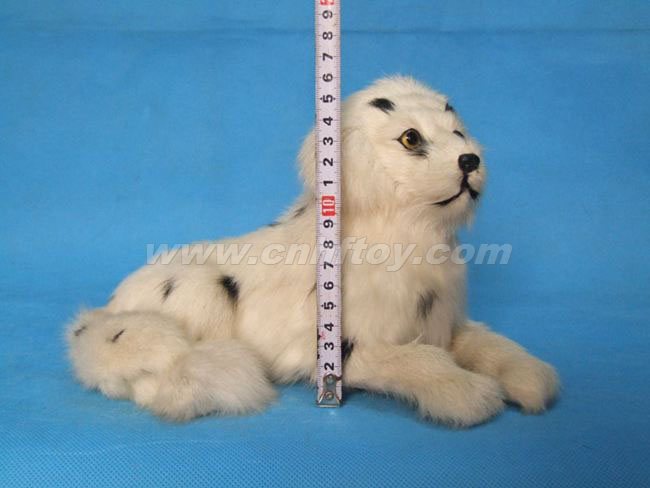 Ƥë��߹���G384����㷽Ƥë����Ʒ���޹�˾