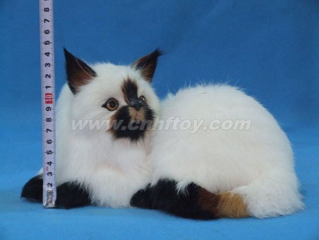 Ƥë���è��M117����㷽Ƥë����Ʒ���޹�˾