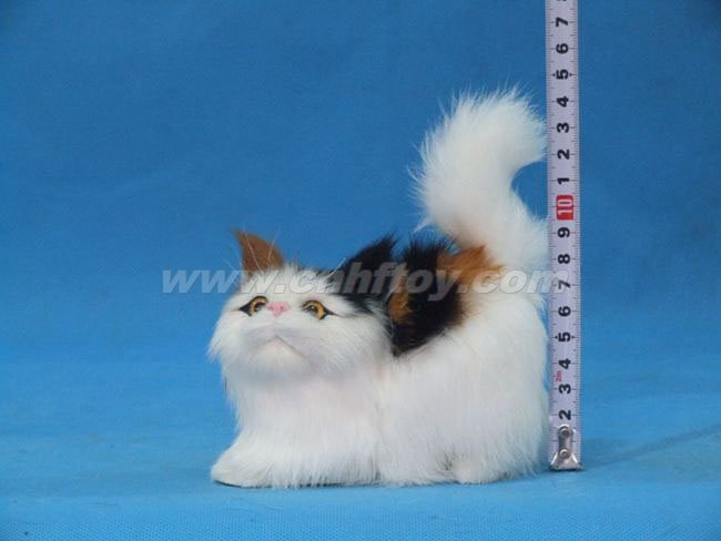 Ƥë���è��M123����㷽Ƥë����Ʒ���޹�˾