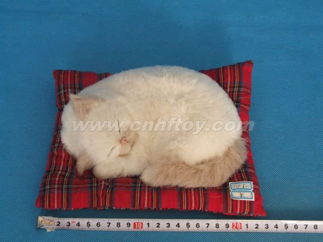 Ƥë���è��M137����㷽Ƥë����Ʒ���޹�˾