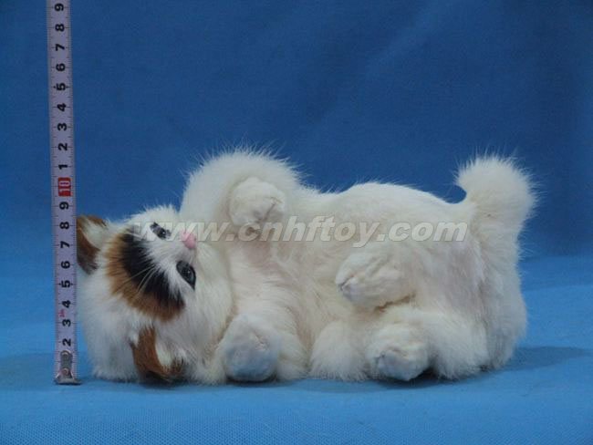 Ƥë���è��M172����㷽Ƥë����Ʒ���޹�˾