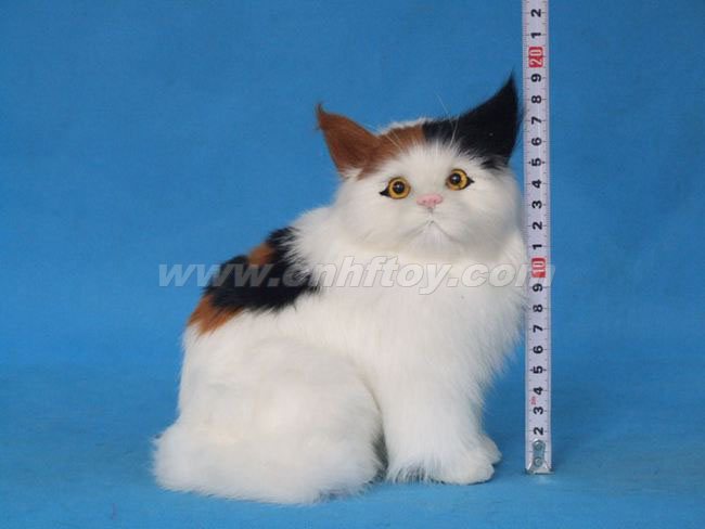 Ƥë���è��M258����㷽Ƥë����Ʒ���޹�˾