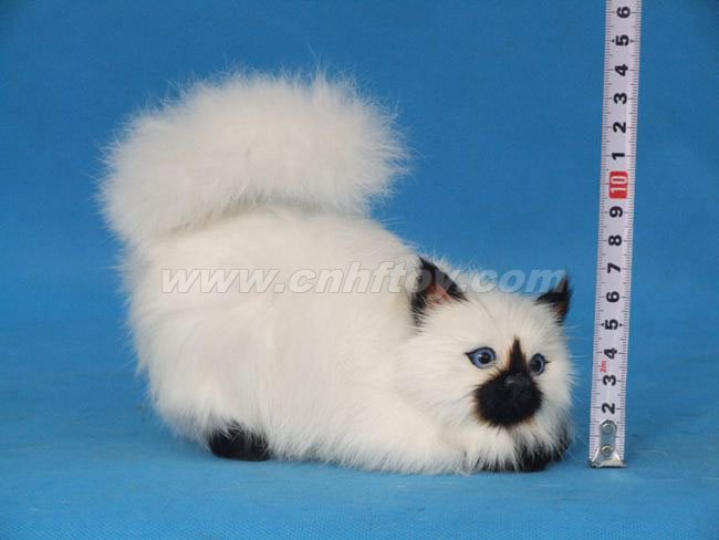 Ƥë���è��M164����㷽Ƥë����Ʒ���޹�˾