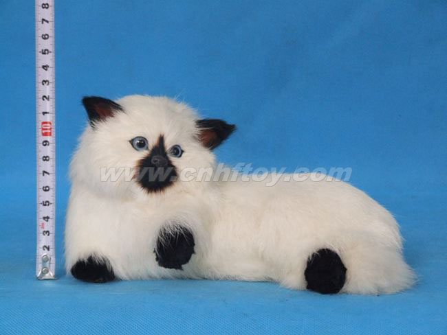 Ƥë���è��M165����㷽Ƥë����Ʒ���޹�˾