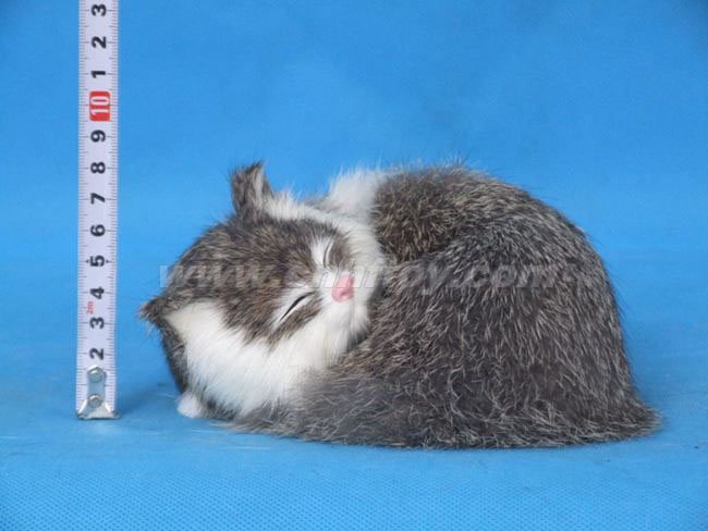 Ƥë���è��M539����㷽Ƥë����Ʒ���޹�˾