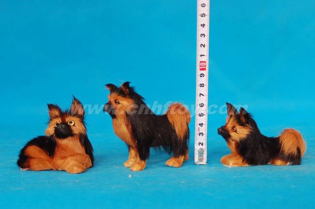 Ƥë���è��M564����㷽Ƥë����Ʒ���޹�˾