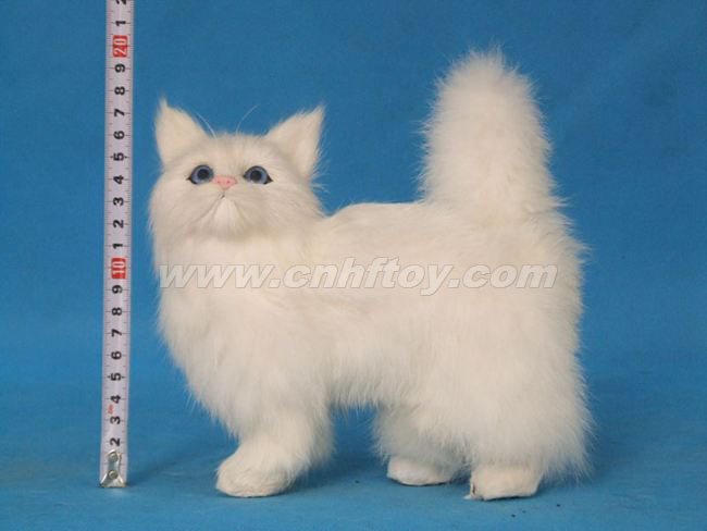 Ƥë���è��M567����㷽Ƥë����Ʒ���޹�˾