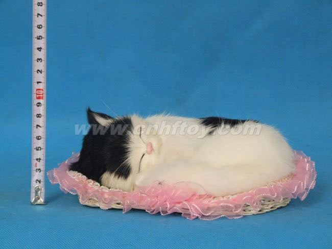 Ƥë���è��M569����㷽Ƥë����Ʒ���޹�˾