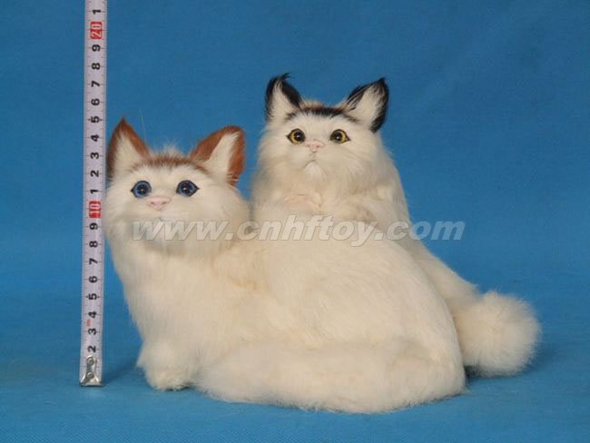 Ƥë���è��M571����㷽Ƥë����Ʒ���޹�˾