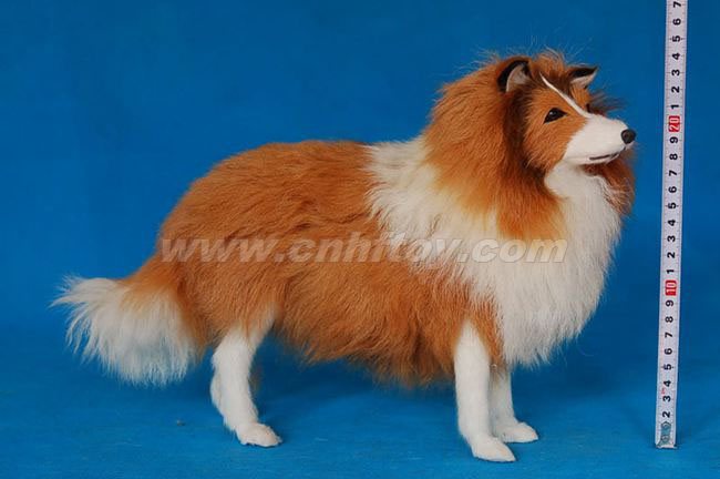 Ƥë��߹���G662����㷽Ƥë����Ʒ���޹�˾