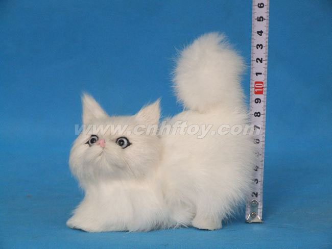 Ƥë���è��M589����㷽Ƥë����Ʒ���޹�˾