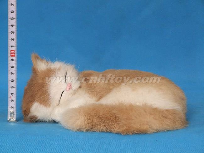 Ƥë���è��M282����㷽Ƥë����Ʒ���޹�˾