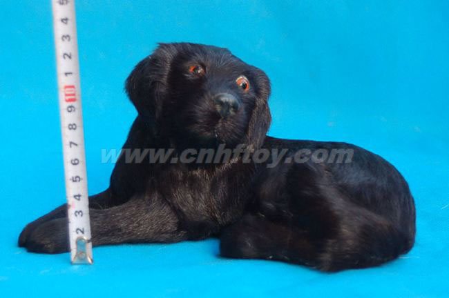 Ƥë��߹���G410����㷽Ƥë����Ʒ���޹�˾