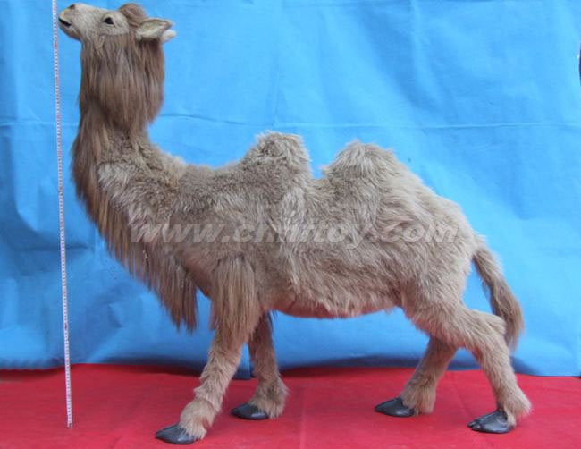 大型动物：DX051菏泽恒方皮毛工艺品有限公司