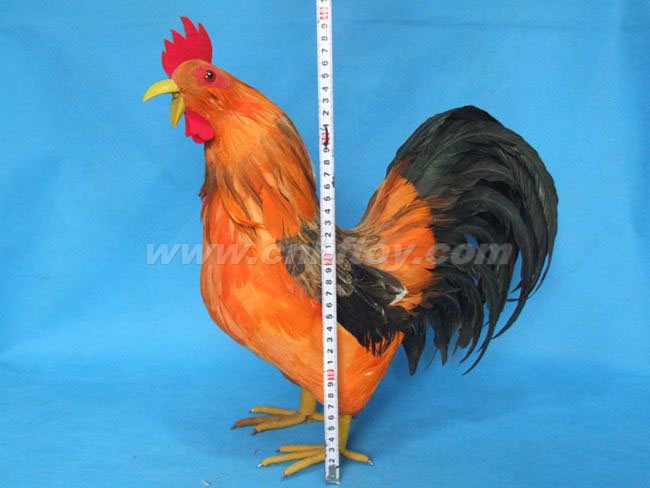 Ƥë��߼���J013����㷽Ƥë����Ʒ���޹�˾