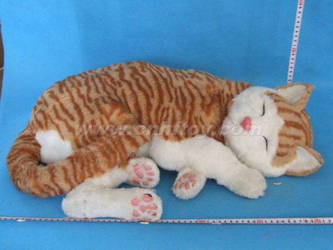 Ƥë���è��M451����㷽Ƥë����Ʒ���޹�˾