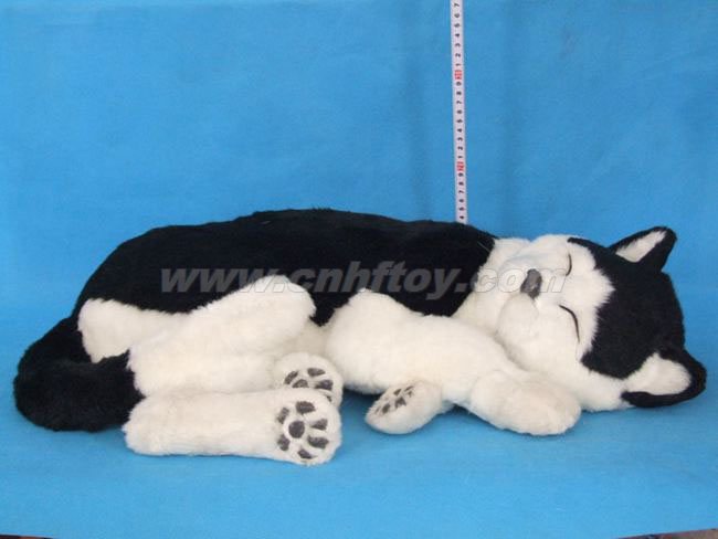 Ƥë���è��M494����㷽Ƥë����Ʒ���޹�˾