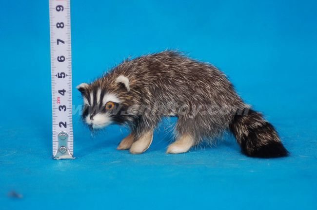 Fur toysRaccoonHX006HEZE HENGFANG LEATHER & FUR CRAFT CO., LTD