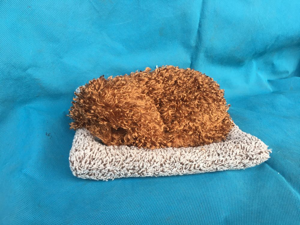 皮毛玩具竹炭系列动物：HZZT005菏泽恒方皮毛工艺品有限公司